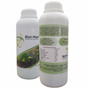BiotHAM